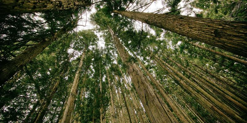 品牌公寓17：资产管理视角下的长租公寓进化论