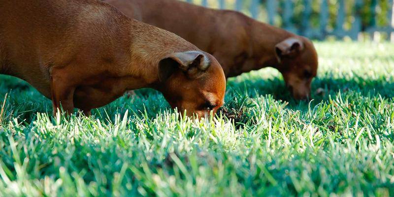 品牌公寓3.0时代:精细化公寓管理与租赁住宅的价值跃迁