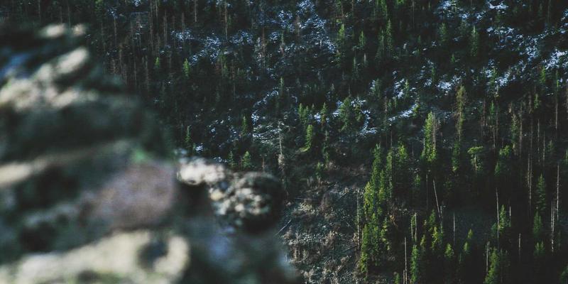 品牌公寓3.1时代：租赁住宅的资产管理新范式