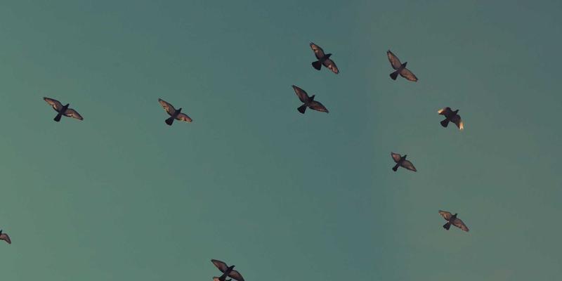 品牌公寓88：重新定义现代租赁住宅，引领品质公寓管理新标准