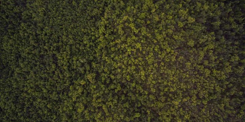 品牌公寓如何通过本地化社区融合策略提升品牌管理效能与降低邻里纠纷