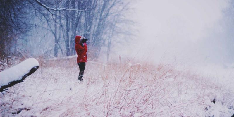 品牌公寓如何通过绿色建筑认证提升资产溢价与租客吸引力：品牌管理与租赁住宅的未来策略
