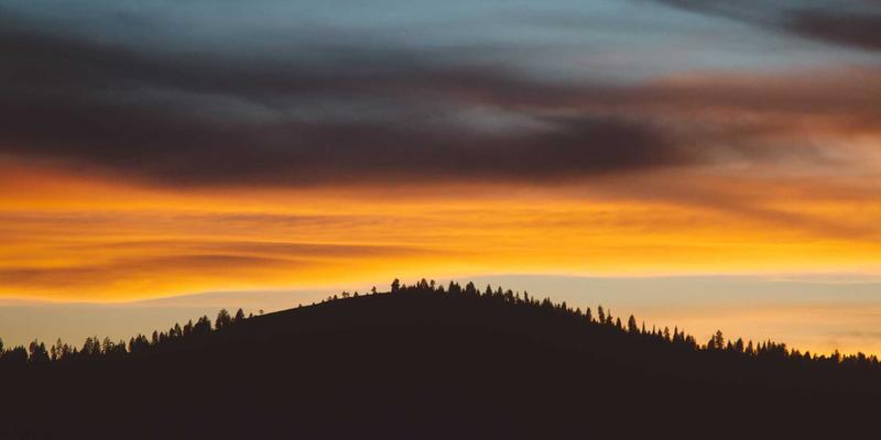 品牌公寓市场定位与定价模型：基于竞品分析与租户支付意愿的动态策略