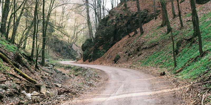 品牌公寓深度评测:专业管理如何重塑长租体验与行业标准