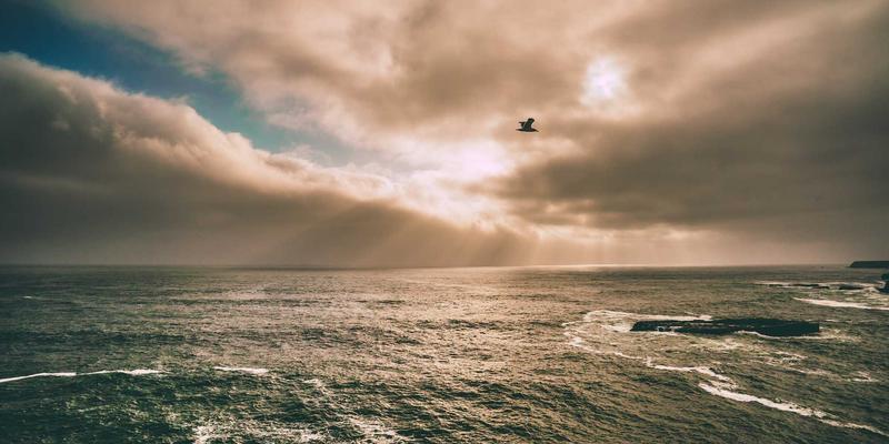 品牌公寓的崛起之路：如何通过品牌管理与资产管理构建核心竞争力