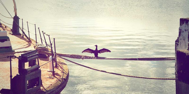 品牌公寓租后服务体系构建：报修、保洁与管家服务的标准化与个性化平衡