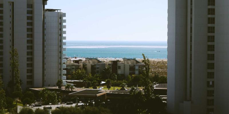 品牌公寓资产管理新趋势：如何制定友好的宠物入住政策并推荐优质房源