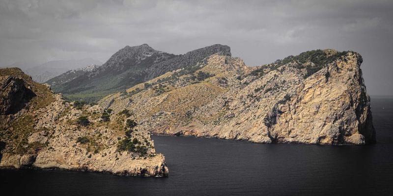 品牌公寓降本增效之道：集中采购与供应商协同如何重塑租赁住宅资产管理