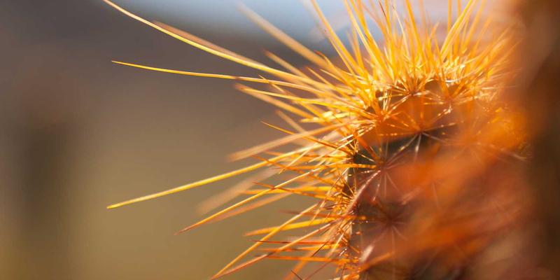 租赁住宅新蓝海：长租公寓如何通过差异化产品设计赢得银发族与留学生市场