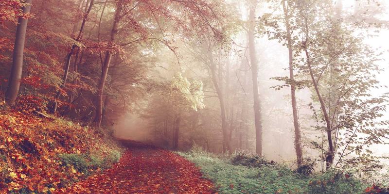 资产管理新标杆：品牌公寓如何通过标准化保洁与维修服务提升租赁住宅价值