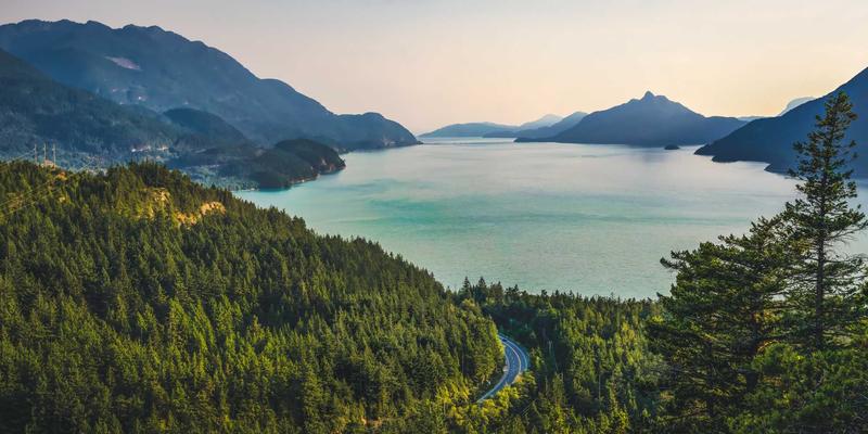 资产管理新视角：品牌公寓如何构建高效租后服务体系以降低运营成本与提升满意度